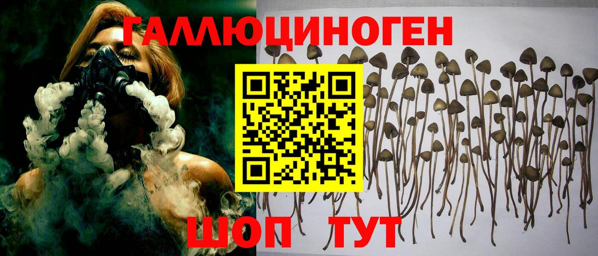 Галлюциногенные грибы MAGIC MUSHROOMS Ханты-Мансийск